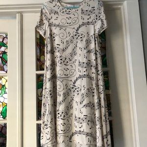 LuLaRoe Carly Swing Dress (XS)